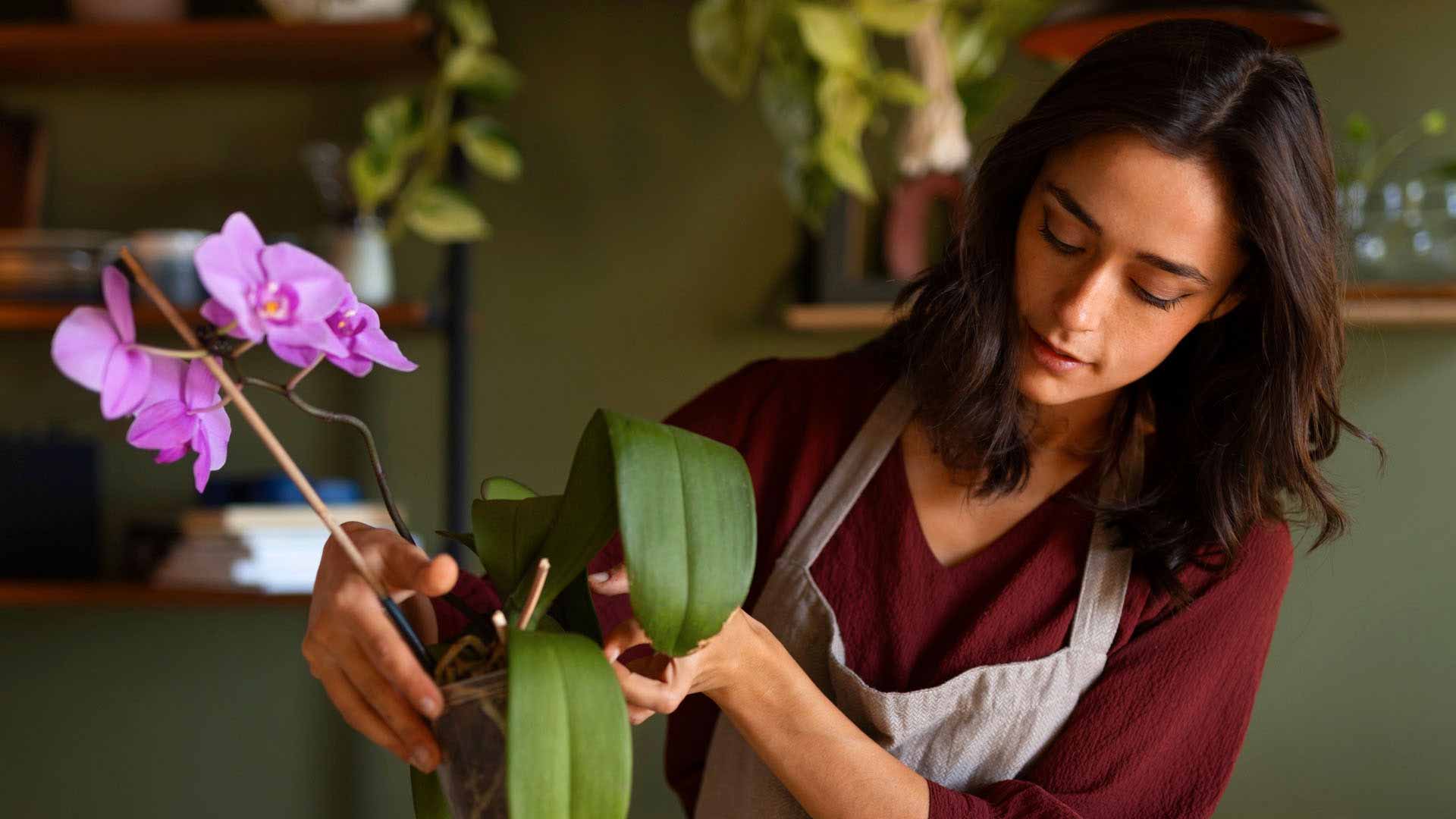 Common and Costly Mistakes to Avoid in Proper Flower Care